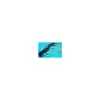 Cordon Alimentation Noir Pour Grill Seb 7