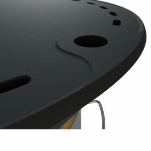 Coupon 🔔 Sonnenkönig Plancha Element – Accessoires Pour Raclette Et Foundue ❤️ 6